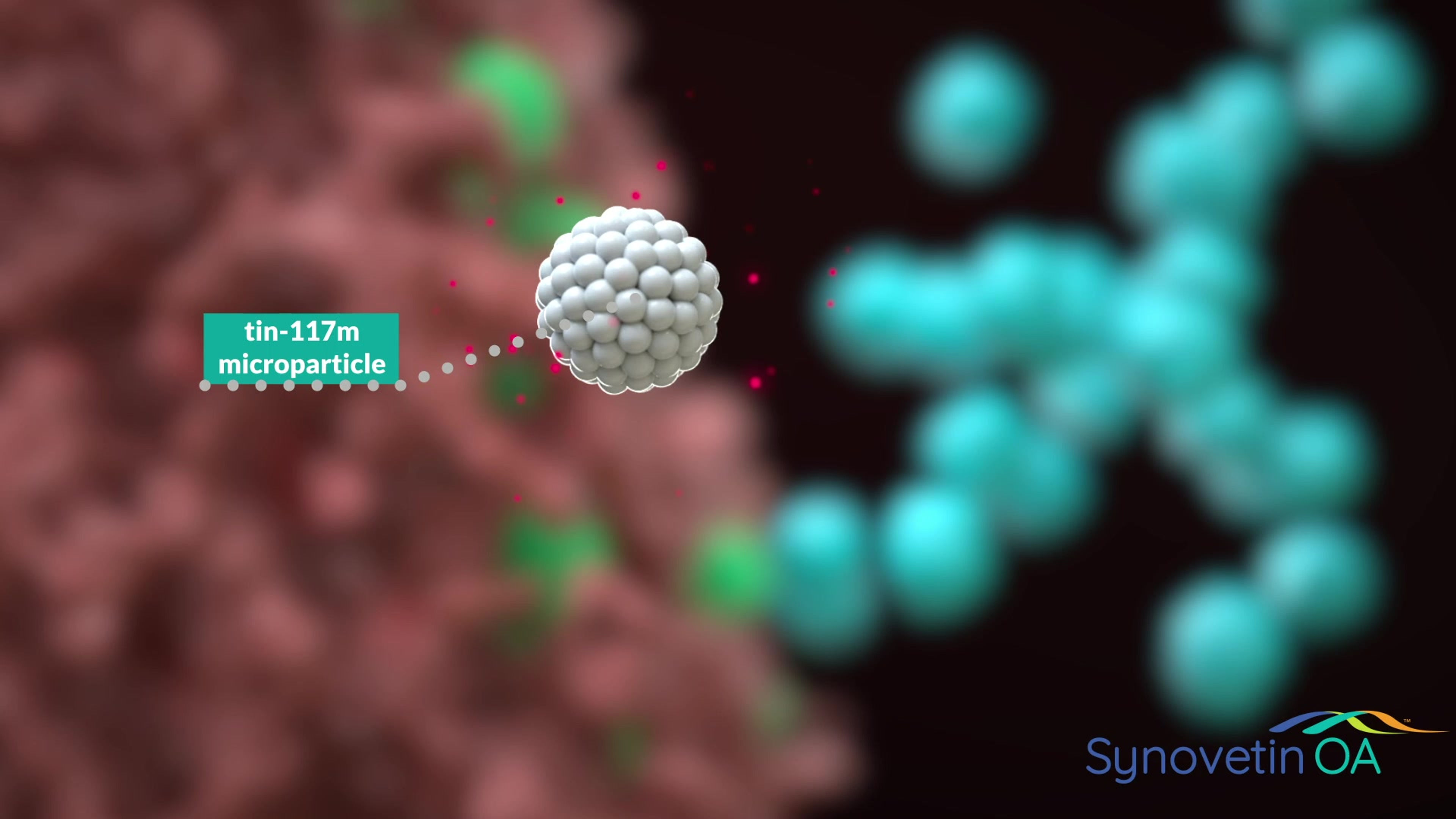 Synovetin_OA_FINAL_UPDATED